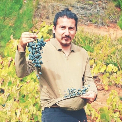 Roberto Henriquez