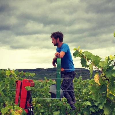 Domaine Geschickt