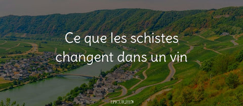 Vignoble en coteaux le long d'une rivière : sols de schistes