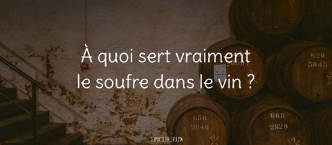 Fûts de vin dans une cave : à quoi sert le soufre dans le vin ?