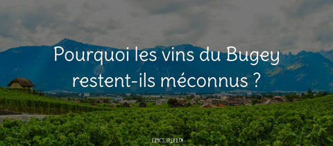 Vignoble de montagne : les vins du Bugey