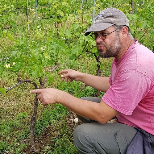 Coteaux des Girondales