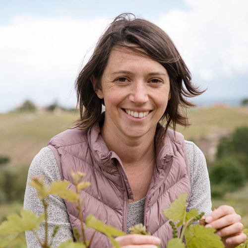 Domaine de la Grosse Pierre