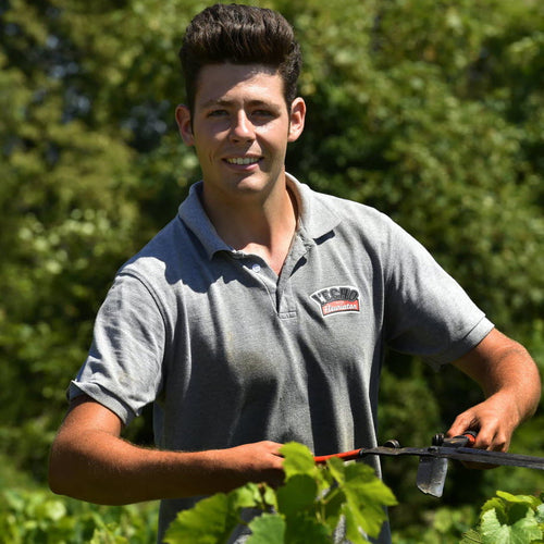 Domaine les Bertrand