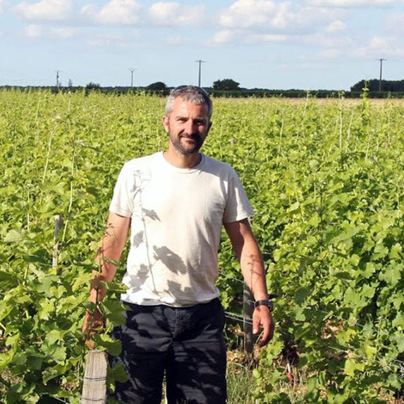 The wines of Alexandre Bain - Natural wines of Pouilly-Fumé – Epi-curieux
