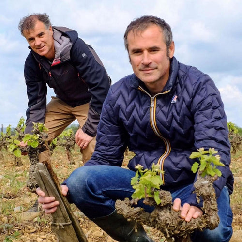 Domaine Bernatas