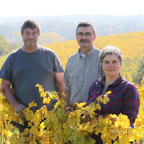 Domaine les Grandes Vignes - Famille Vaillant