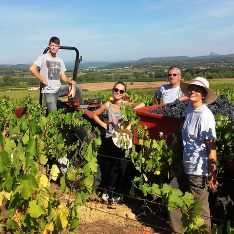 Famille Scarlata