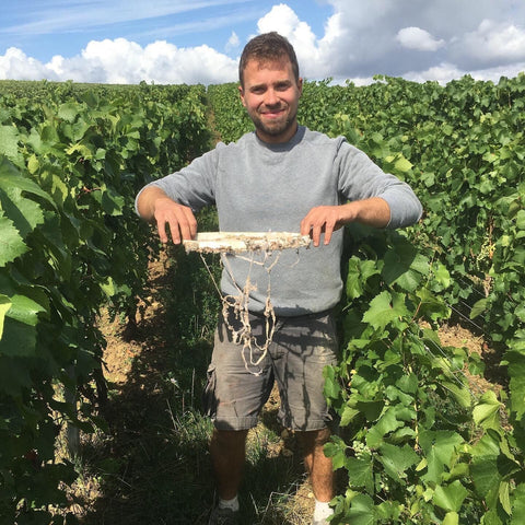 Romain Henin, un talentueux vigneron de la Vallée de la Marne en Champagne 
