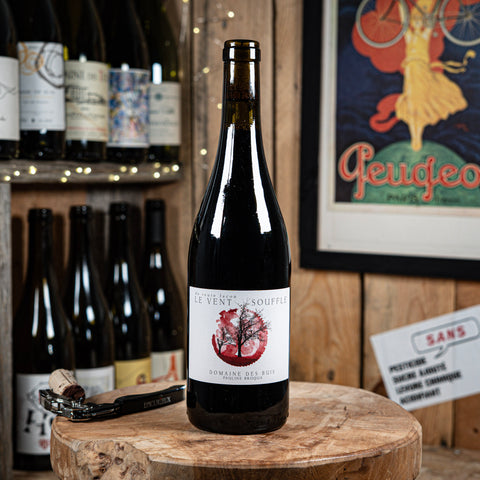 De toute façon le vent souffle 2022 - Pauline Broqua