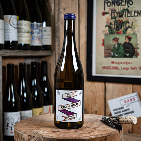 Force of nature 2023 - Corentin Houillon