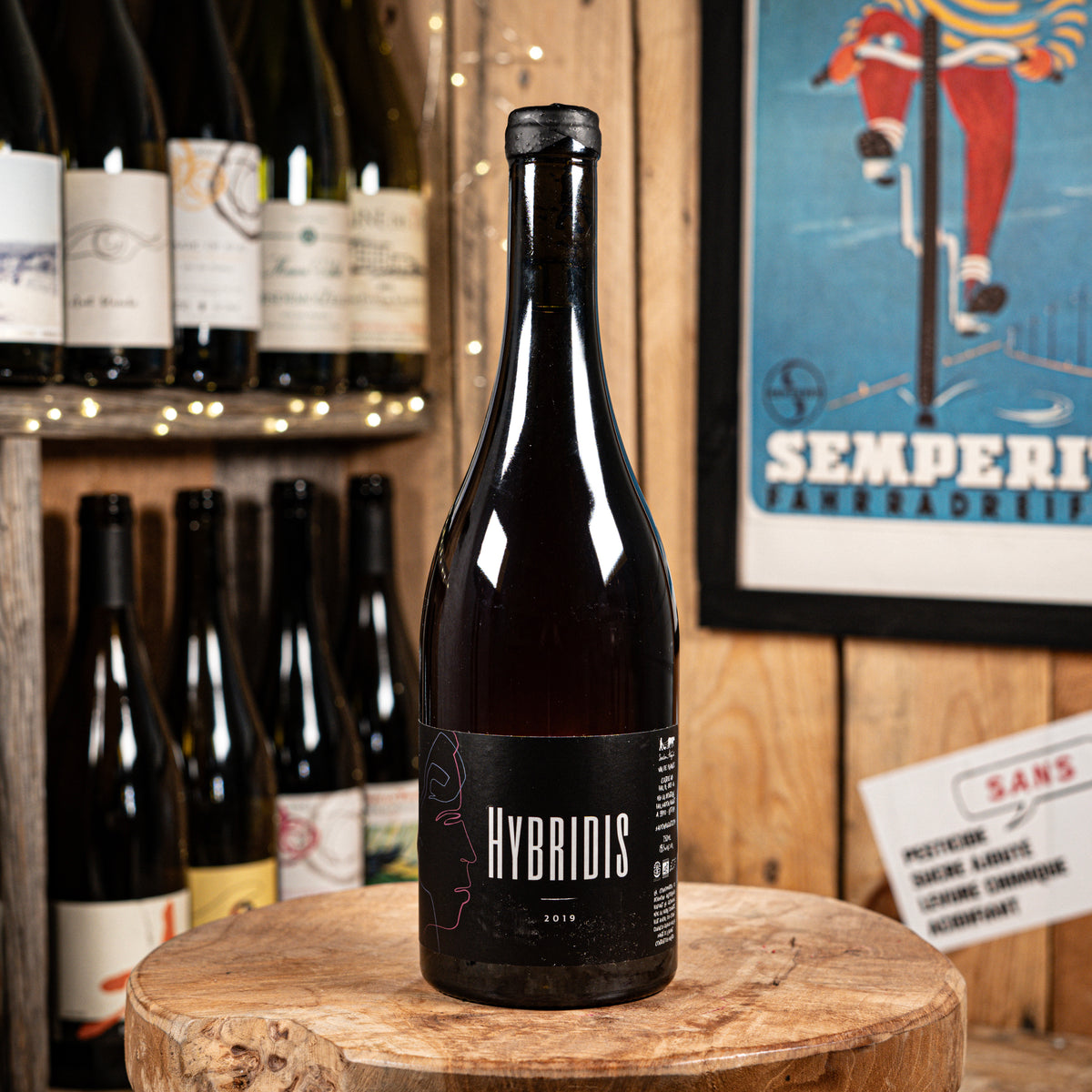 Hybridis 2019 - Sadon Huguet – Epi-curieux