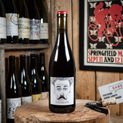 Bouteille de Métis 2023 - Domaine Thillardon