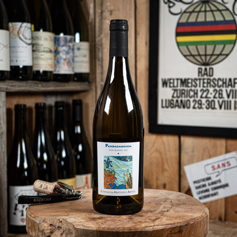 Pandaemonium 2024 - Camille et Mathieu Apffel