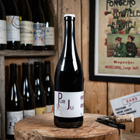 Pur Ju - Castell-Reynoard