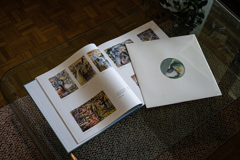 Mélodies de couleurs et imaginaire d'Izzem - Livre et vinyle - Imanol Garay