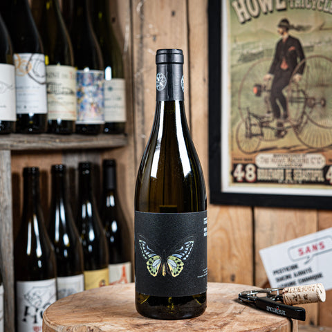 Petite mélancolie 2024 - Domaine Ledogar