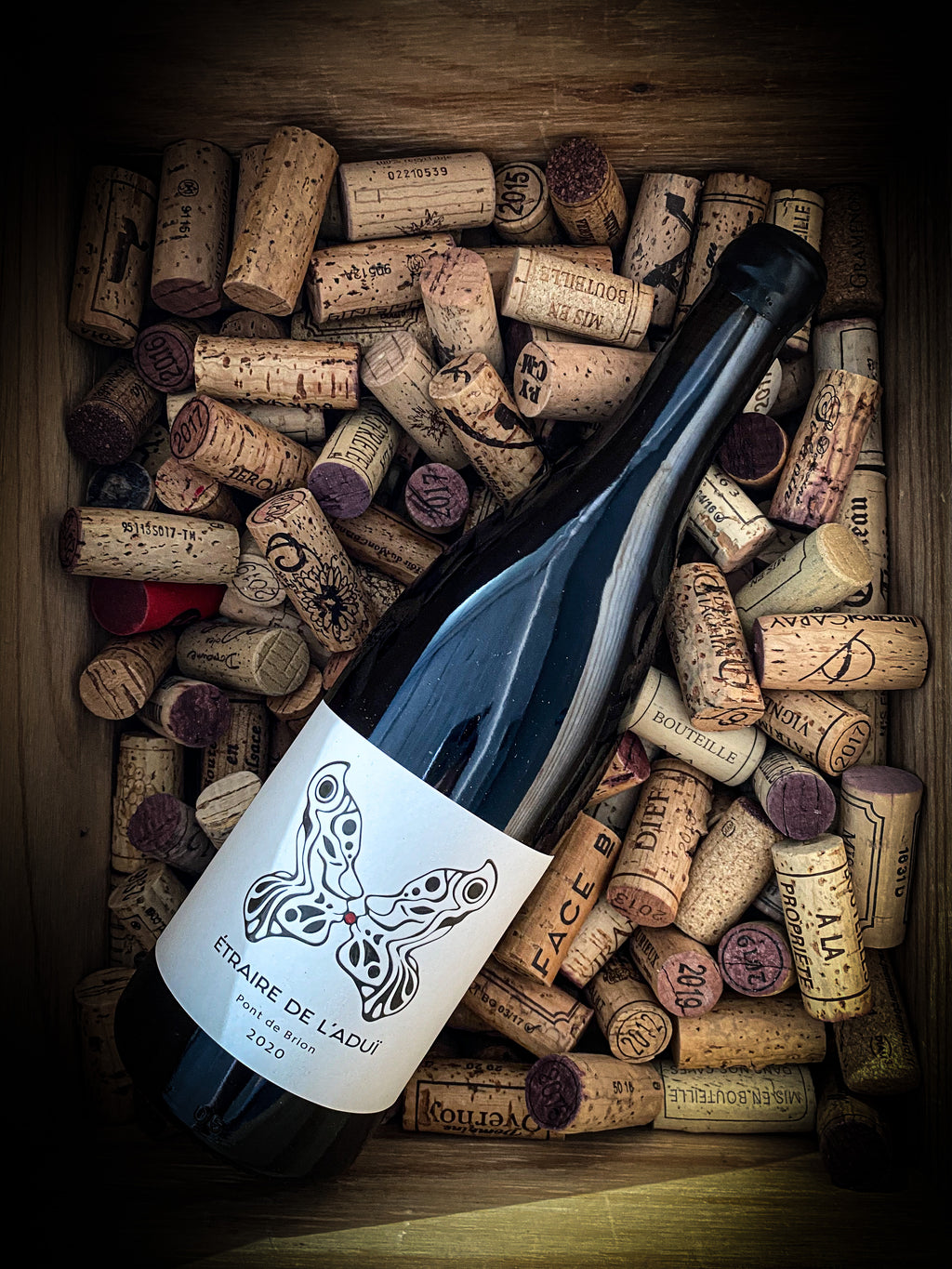 Etraire de l'Aduï 2020 Jérémy Bricka Epicurieux